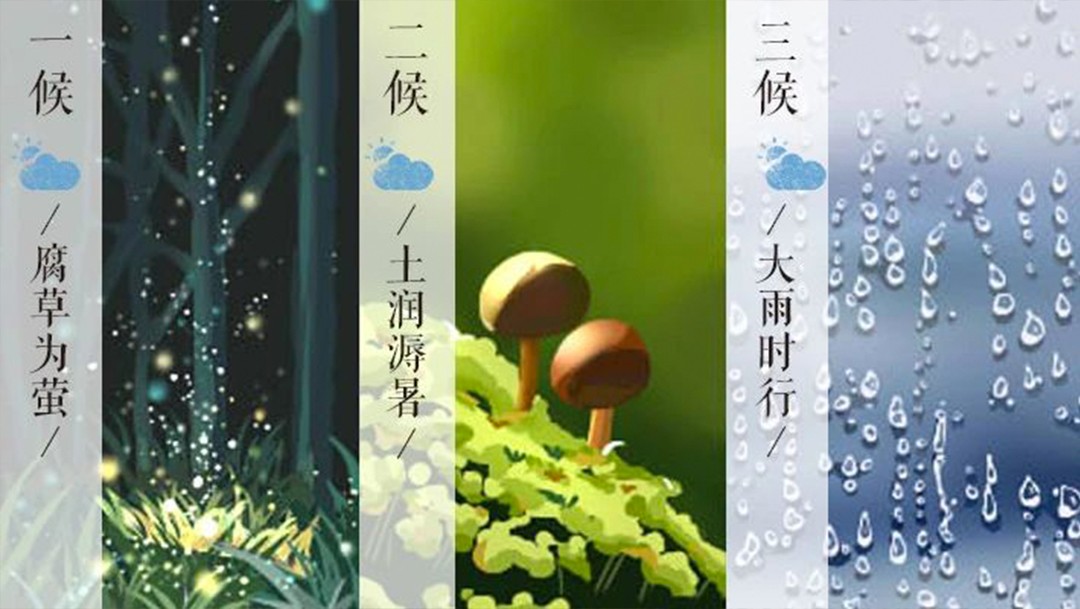 v2-9d4e8b629e4b938f19d8772dad4d1e35_720w_看圖王.web.jpg